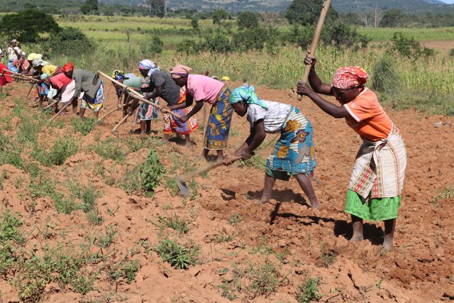 Women working the land