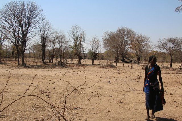 Drought in the south of Angola